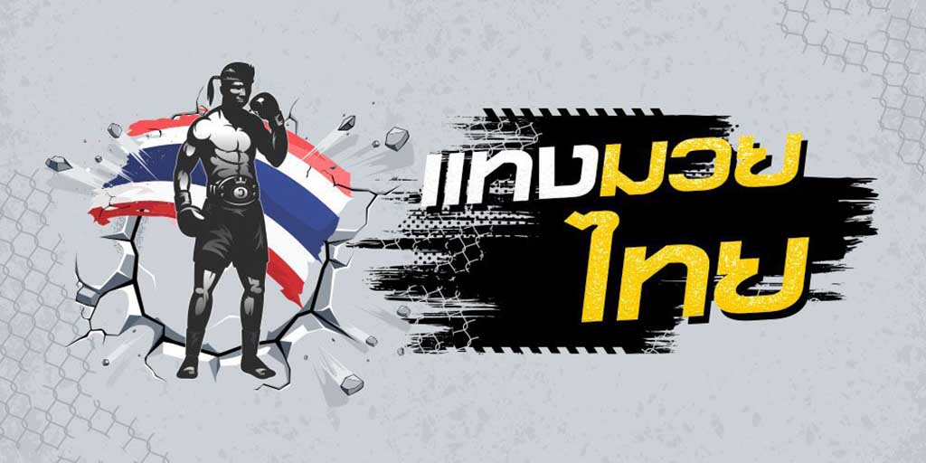 แทงมวยไทย ทำความเข้าใจวิธีเดิมพันกีฬาของไทยที่ดังไกลไปถึงต่างชาติ